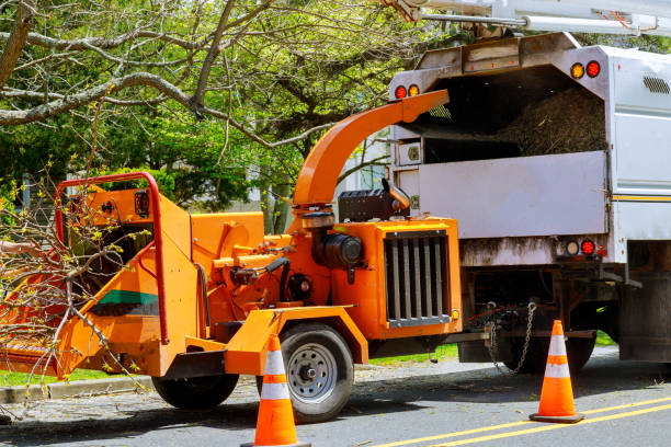Best Soil Testing and Treatment  in Kingston, RI
